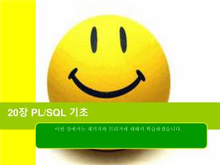 20 장 PL/SQL 기초