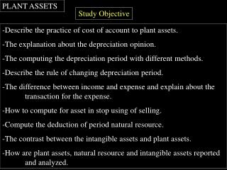 PLANT ASSETS