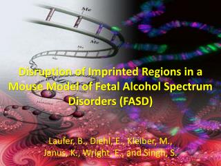 Disruption of Imprinted Regions in a Mouse Model of Fetal Alcohol Spectrum Disorders (FASD)