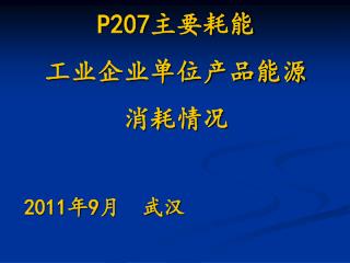 P207 主要耗能 工业企业单位产品能源 消耗情况 2011 年 9 月 武汉