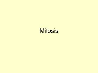 Mitosis