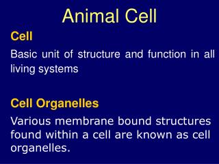 Animal Cell