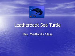 Leatherback Sea Turtle