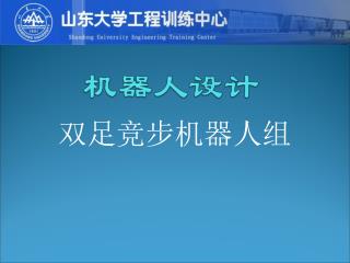 双足竞步机器人组