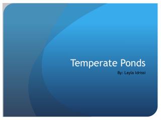 Temperate Ponds