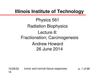 Illinois Institute of Technology