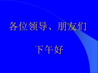 各位领导、朋友们 下午好
