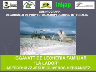 SUBPROGRAMA DESARROLLO DE PROYECTOS AGROPECUARIOS INTEGRALES