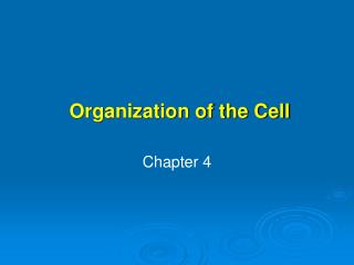 Organization of the Cell