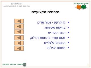 היבטים מקצועיים