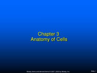 Chapter 3 Anatomy of Cells