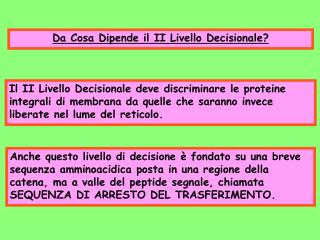 Da Cosa Dipende il II Livello Decisionale?