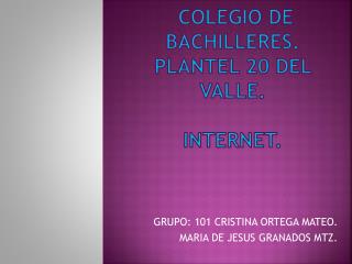 COLEGIO DE BACHILLERES. PLANTEL 20 DEL VALLE. INTERNET.