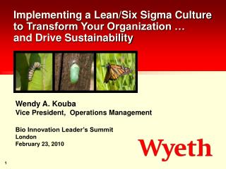 Implementing a Lean/Six Sigma Culture to Transform Your Organization … and Drive Sustainability