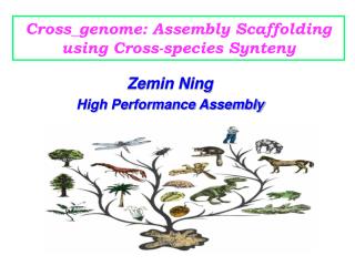 Cross_genome: Assembly Scaffolding using Cross-species Synteny