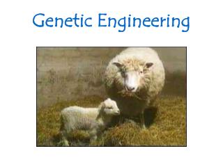 Genetic Engineering