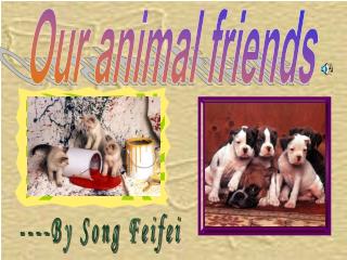 Our animal friends