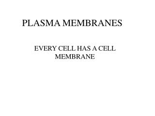 PLASMA MEMBRANES