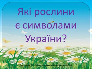 Які рослини є символами України?