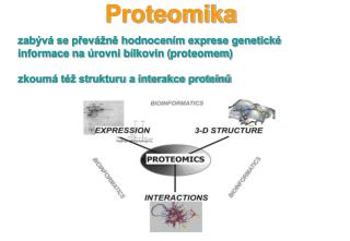 Proteomika