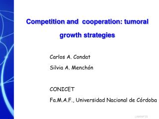 Competition and  cooperation: tumoral growth strategies