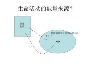 生命活动的能量来源？