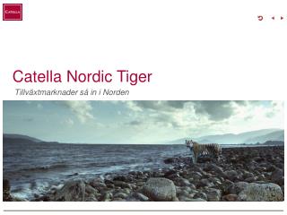 Catella Nordic Tiger