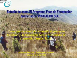 Estudio de caso: El Programa Face de Forestación del Ecuador- PROFAFOR S.A.