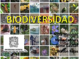 BIODIVERSIDAD