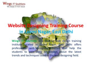 Website Designing training Course in Delhi