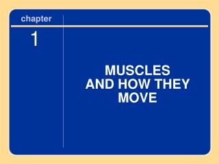 MUSCLES AND HOW THEY MOVE