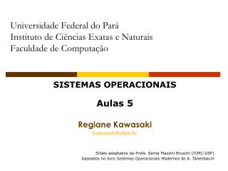 Universidade Federal do Pará Instituto de Ciências Exatas e Naturais Faculdade de Computação