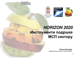 HORIZON 2020 Инструменти подршке МСП сектору