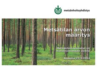 Metsätilan arvon määritys