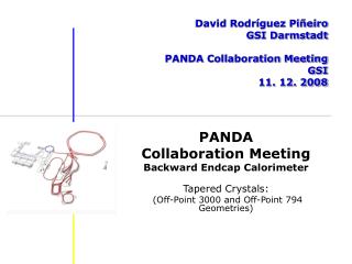 David Rodríguez Piñeiro GSI Darmstadt PANDA Collaboration Meeting GSI 11. 12. 2008