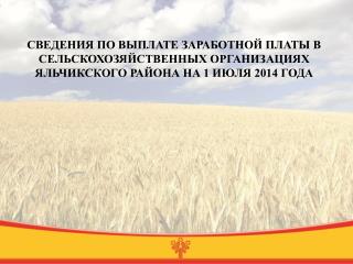 1 группа – выше среднереспубликанского и среднерайонного уровня