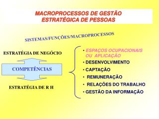 MACROPROCESSOS DE GESTÃO ESTRATÉGICA DE PESSOAS