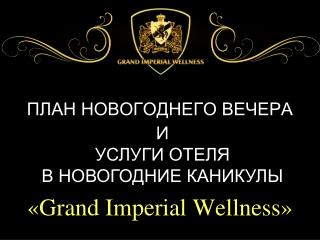 ПЛАН НОВОГОДНЕГО ВЕЧЕРА
