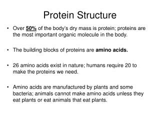 Protein Structure