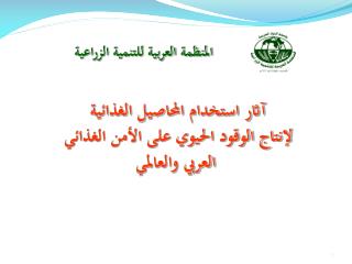 آثار استخدام المحاصيل الغذائية لإنتاج الوقود الحيوي على الأمن الغذائي العربي والعالمي