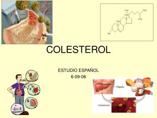 COLESTEROL