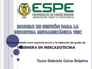 MODELO DE GESTIÓN PARA LA INDUSTRIA METALMECÁNICA TIEC