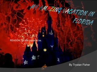 M Y A M A Z I N G V A C ATION IN FLORIDA