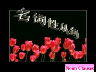名词性从句