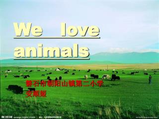 We love animals