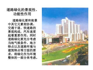 道路绿化的景观性、功能性作用