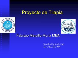 Proyecto de Tilapia