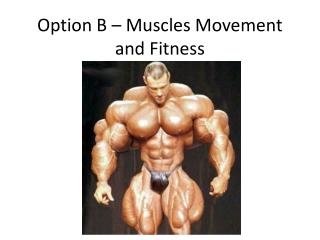 Option B – Muscles Movement and Fitness