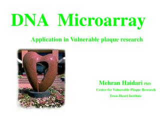 DNA Microarray