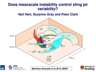 Does mesoscale instability control sting jet variability?